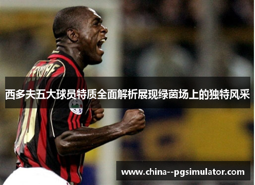 西多夫五大球员特质全面解析展现绿茵场上的独特风采 西多夫五大球员特质全面解析展现绿茵场上的独特风采