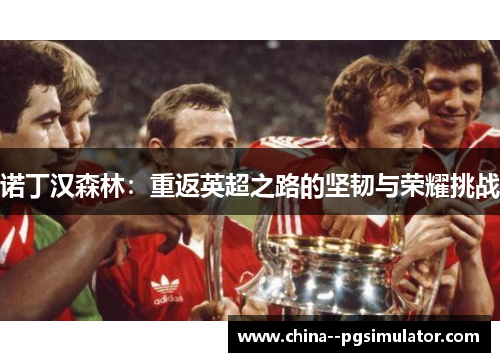 诺丁汉森林:重返英超之路的坚韧与荣耀挑战 诺丁汉森林:重返英超之路的坚韧与荣耀挑战