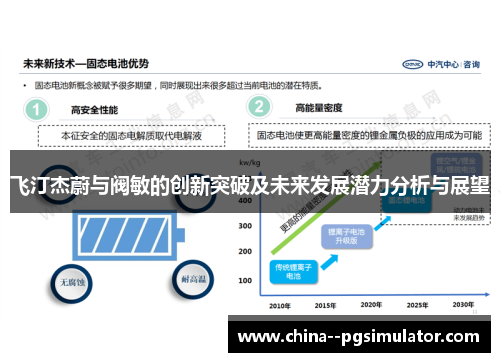 飞汀杰蔚与阀敏的创新突破及未来发展潜力分析与展望