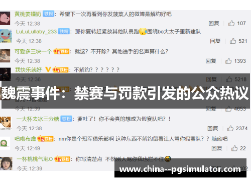 魏震事件：禁赛与罚款引发的公众热议