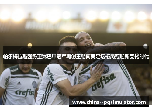 帕尔梅拉斯强势卫冕巴甲冠军再创王朝南美足坛格局或迎新变化时代