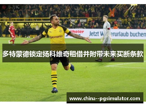 多特蒙德锁定扬科维奇租借并附带未来买断条款 多特蒙德锁定扬科维奇租借并附带未来买断条款